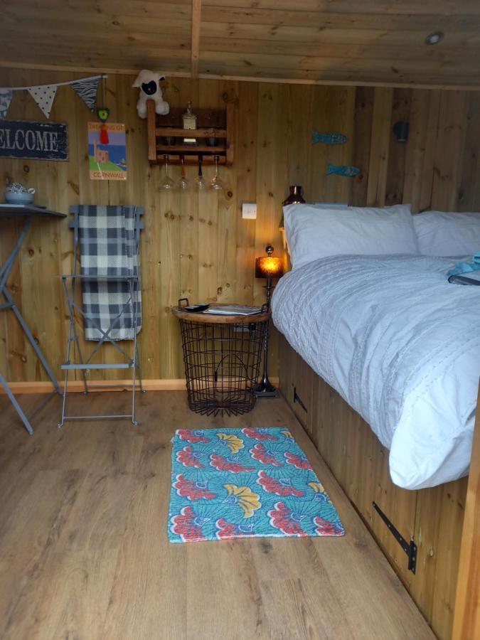 Stargazy Shepherds Hut St Ives Екстериор снимка